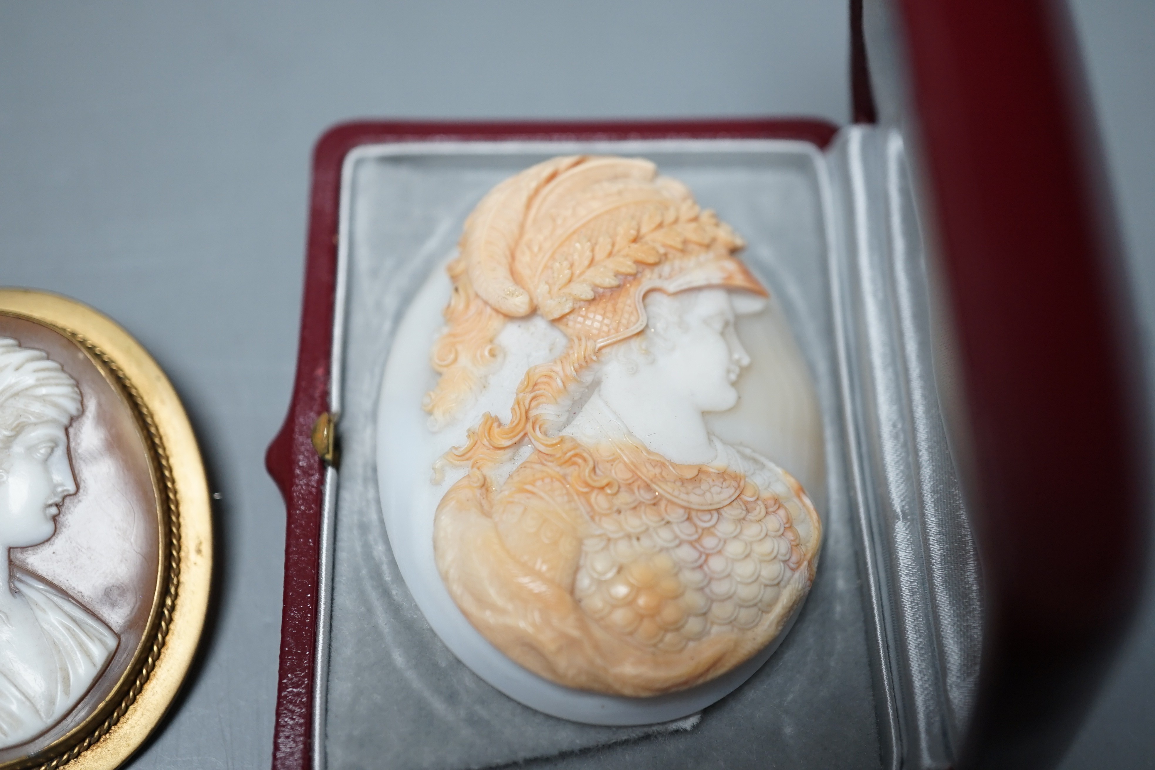 A good quality unmounted oval cameo shell, carved with the bust of a Roman soldier to sinister, 56mm, in Antrobus box, together with two cameo set brooches.